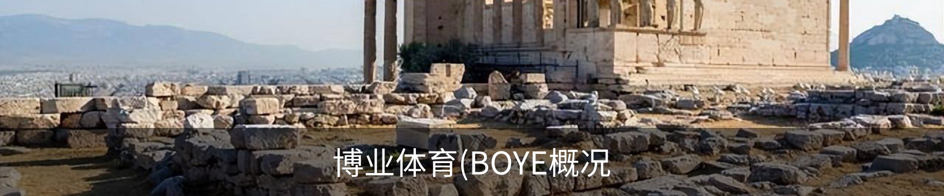 博业体育(BOYE概况